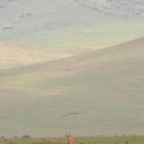 kenia_tanzania_118