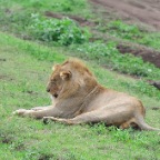 kenia_tanzania_125