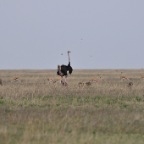 kenia_tanzania_132