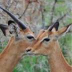 kenia_tanzania_138