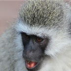 kenia_tanzania_141