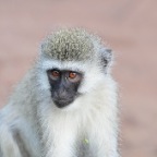 kenia_tanzania_142
