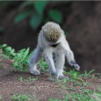 kenia_tanzania_143