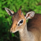 kenia_tanzania_146