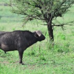 kenia_tanzania_148