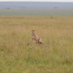 kenia_tanzania_150