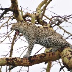 kenia_tanzania_159