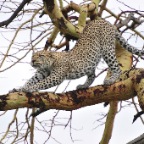 kenia_tanzania_160