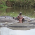 kenia_tanzania_164