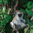 kenia_tanzania_179