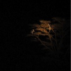 kenia_tanzania_187