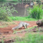 kenia_tanzania_188