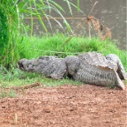 kenia_tanzania_189