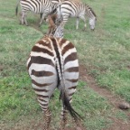 kenia_tanzania_192