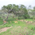 kenia_tanzania_195