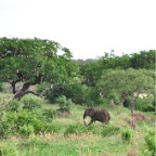 kenia_tanzania_202
