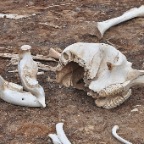 kenia_tanzania_205