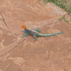 kenia_tanzania_206