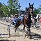 KortebaanWognum_033062011_043